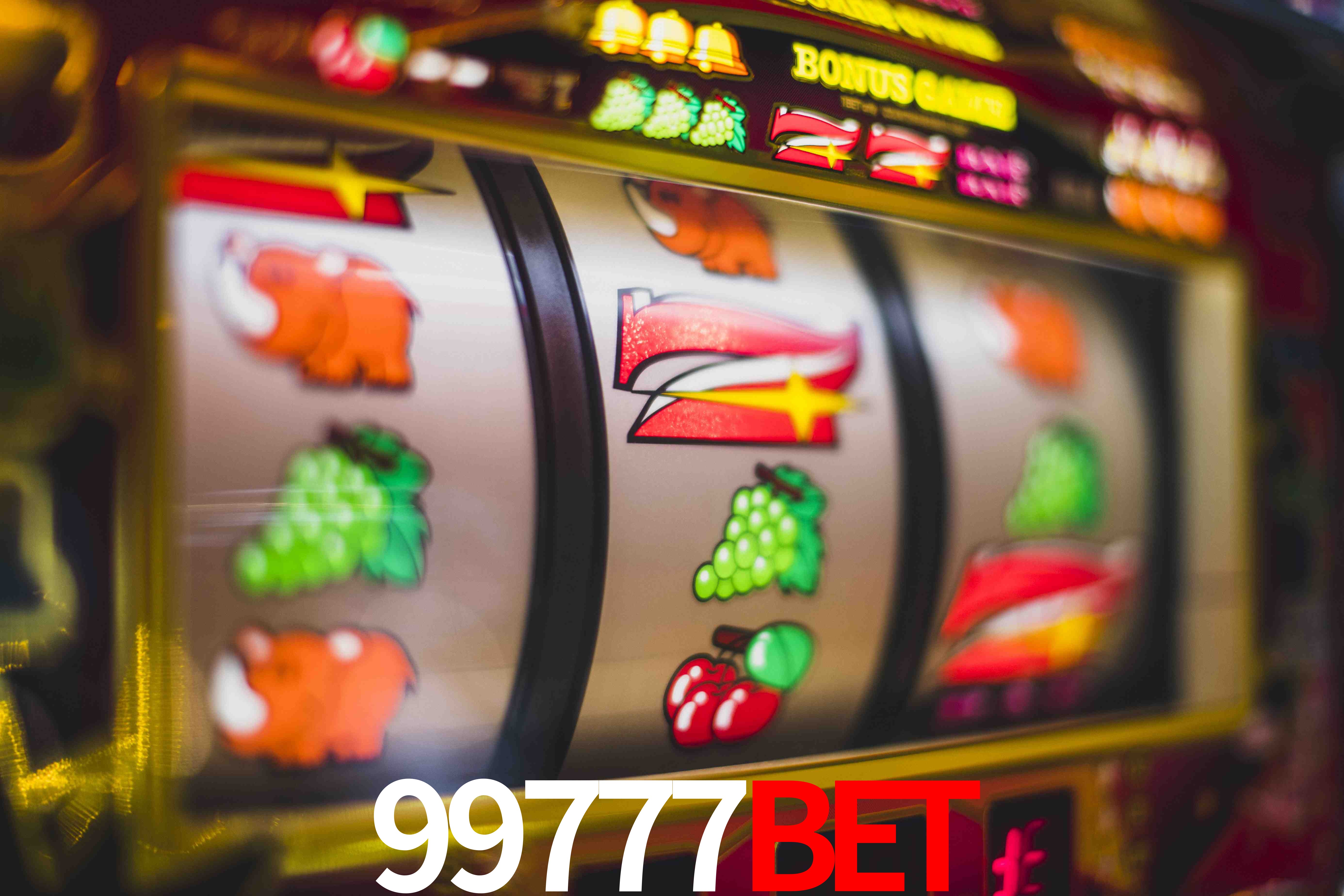 Statistics 99777bet